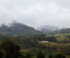 FRIO