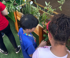 IAT promove a inclusão social e ambiental por meio dos jardins sensoriais