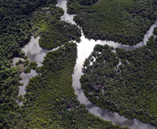 BRDE PROJETOS MATA ATLÂNTICA