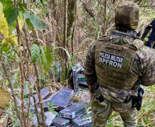 Combate ao tráfico: apreensões de maconha e cocaína crescem no 1º semestre de 2024