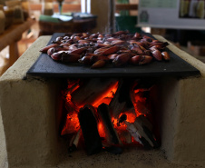 PINHÃO 