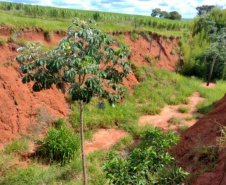 Rodovia de Tapejara vai receber melhorias de drenagem e contenção de erosão 