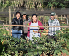 Horta comunitária do programa Cultivar Energia em Maringá recebe comitiva peruana 