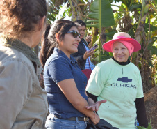 Horta comunitária do programa Cultivar Energia em Maringá recebe comitiva peruana 
