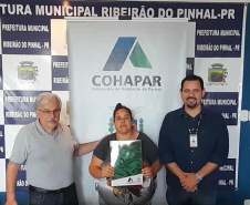 Douradina, Ribeirão do Pinhal e Turvo