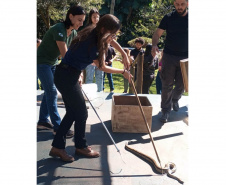 IAT capacita técnicos ambientais para o manejo correto de serpentes