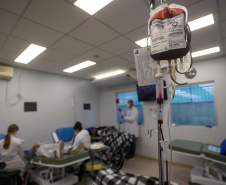 SESA DOAÇÃO DE SANGUE