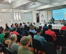 Douradina, Ribeirão do Pinhal e Turvo