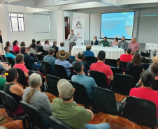 Douradina, Ribeirão do Pinhal e Turvo