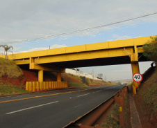 Edital para inspecionar pontes e viadutos de rodovias estaduais atrai 11 interessados 