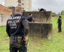 Paraná registra menor número de homicídios dos últimos 18 anos no 1º semestre