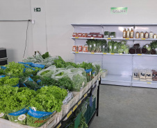 Empório da Agricultura Familiar comercializa produção local em Maringá