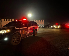 PCPR e PMPR deflagram operação contra organização criminosa ligada ao tráfico de drogas em Palmeira