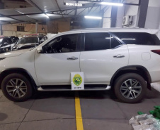 PMPR apreende 1,2 tonelada de maconha no noroeste do Estado
