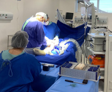 SESA HOSPITAL GUARAPUAVA CIRURGIAS