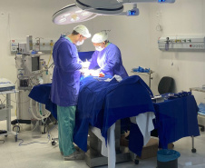 SESA HOSPITAL GUARAPUAVA CIRURGIAS