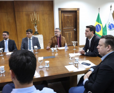 GOVERNADOR