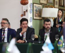 Grupo de Trabalho nesta sexta-feira (9) da 11ª edição do Consórcio de Integração Sul e Sudeste (Cosud), no Espirito Santo.