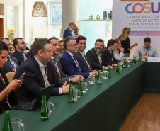 Grupo de Trabalho nesta sexta-feira (9) da 11ª edição do Consórcio de Integração Sul e Sudeste (Cosud), no Espirito Santo.