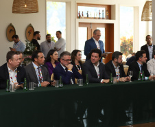 Grupo de Trabalho nesta sexta-feira (9) da 11ª edição do Consórcio de Integração Sul e Sudeste (Cosud), no Espirito Santo.