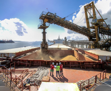 Exportação de soja pelos portos paranaenses cresce 4 vezes mais que a média nacional