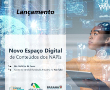 Fundação Araucária lançará espaço digital com informações acessíveis sobre os NAPIs