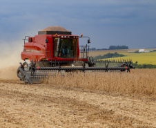Investimentos do Paraná em agricultura cresceram 344% em 2024