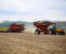 Investimentos do Paraná em agricultura cresceram 344% em 2024
