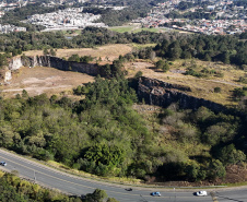 PEDREIRA