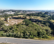 PEDREIRA