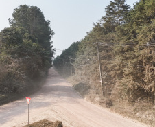 ESTRADA MANDIRITUBA