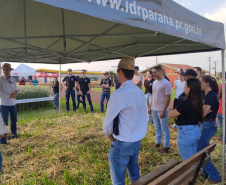 IDR-Paraná marca presença no Show Rural Coopavel de Inverno