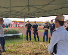 IDR-Paraná marca presença no Show Rural Coopavel de Inverno