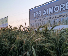 IDR-Paraná marca presença no Show Rural Coopavel de Inverno