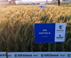 IDR-Paraná marca presença no Show Rural Coopavel de Inverno
