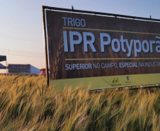 IDR-Paraná marca presença no Show Rural Coopavel de Inverno
