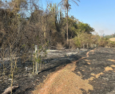 IAT FOGO VILA VELHA