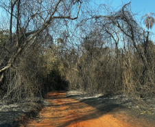 IAT FOGO VILA VELHA