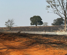 IAT FOGO VILA VELHA
