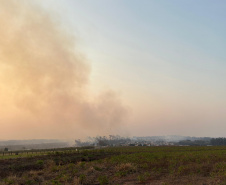 Caminhões-pipa fornecidos pelo Estado ajudam a combater incêndio florestal em Cianorte