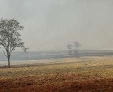 IAT ajuda a combater três novos focos de incêndio florestal no Paraná