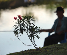 AMBIENTE