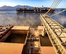 Exportação de soja pelos portos paranaenses cresce 4 vezes mais que a média nacional