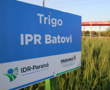  Evento de Agricultura de Baixo Carbono - show rural de inverno
