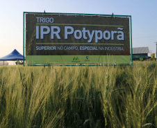  Evento de Agricultura de Baixo Carbono - show rural de inverno