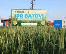  Evento de Agricultura de Baixo Carbono - show rural de inverno