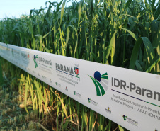  Evento de Agricultura de Baixo Carbono - show rural de inverno
