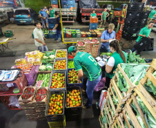Investimentos do Paraná em agricultura cresceram 344% em 2024