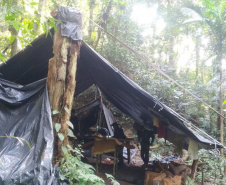  Instituto Água e Terra (IAT) e Batalhão de PolíciaAmbiental - Força Verde desmobilizaram um acampamento de caçadores quefuncionava dentro do Parque Estadual Pico do Marumbi.