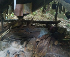  Instituto Água e Terra (IAT) e Batalhão de PolíciaAmbiental - Força Verde desmobilizaram um acampamento de caçadores quefuncionava dentro do Parque Estadual Pico do Marumbi.